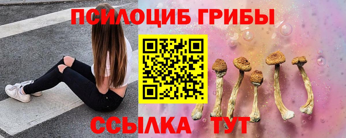 Кисловодск  Галлюциногенные грибы Psilocybine cubensis  Вход с VPN 