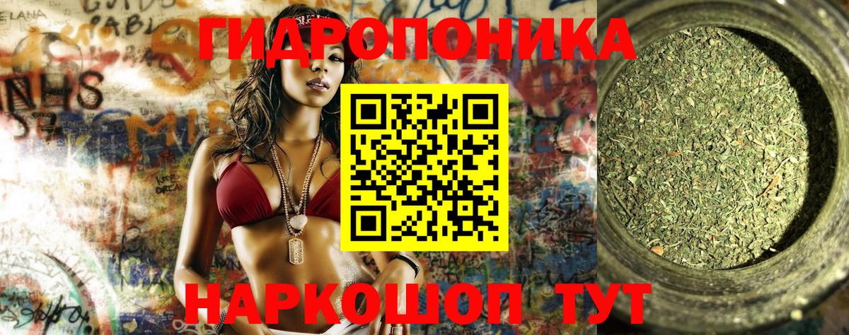 Шишки марихуана план Кисловодск